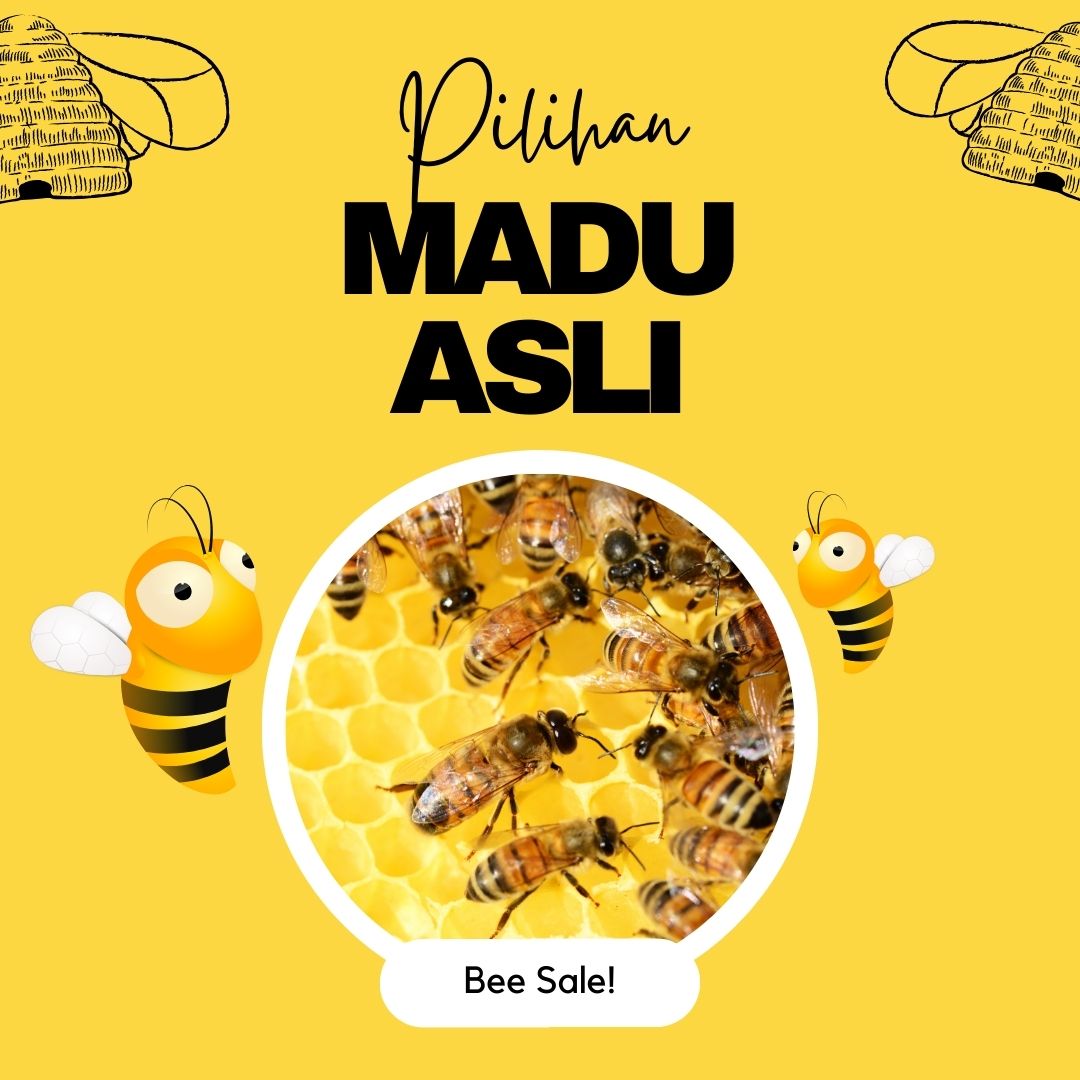 Madu asli tanpa campuran